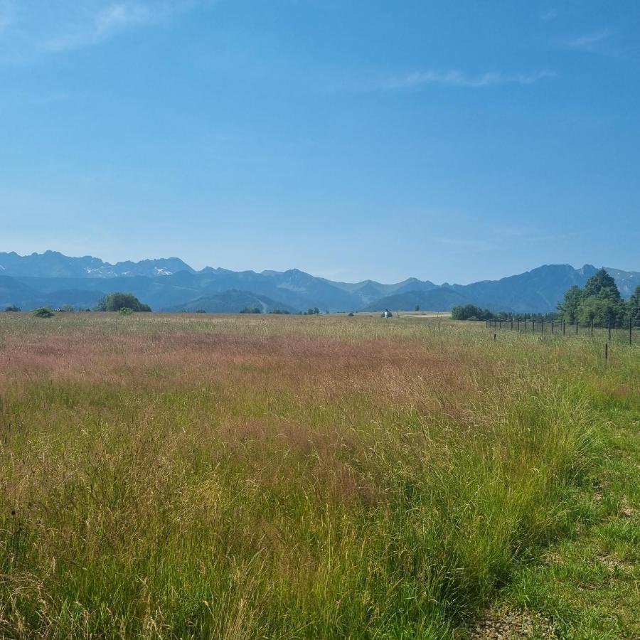 Domek Zakopane Tatrzanski Kacik Apartzakop ภายนอก รูปภาพ